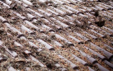 Llanfairyneubwll roof cleaning companies