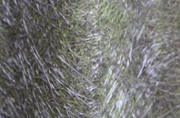 Llanfairyneubwll fibreglass roof work